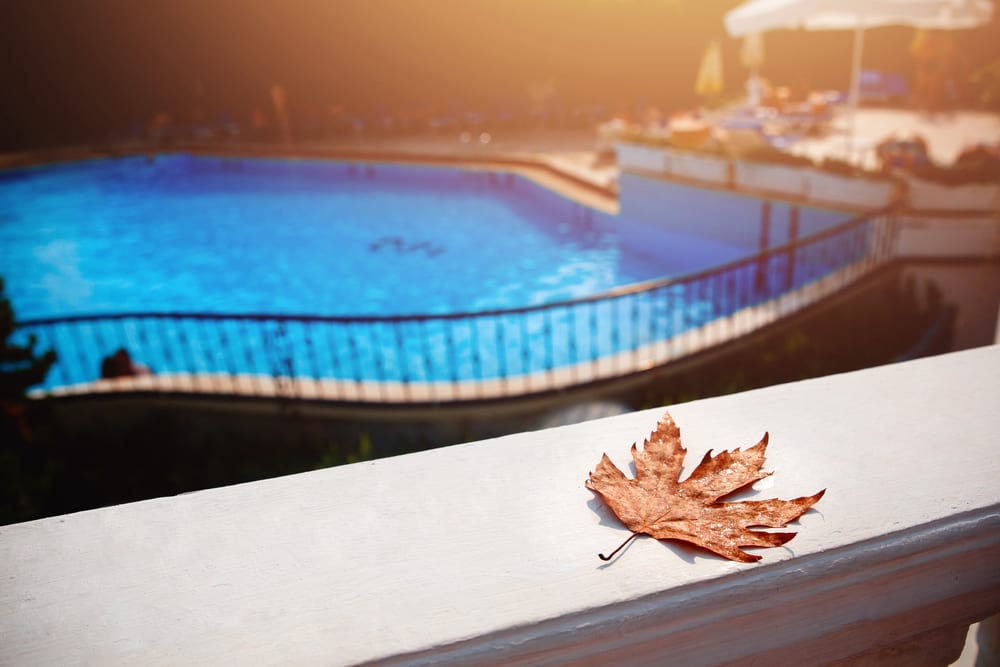 Leaf sitting next to pool
